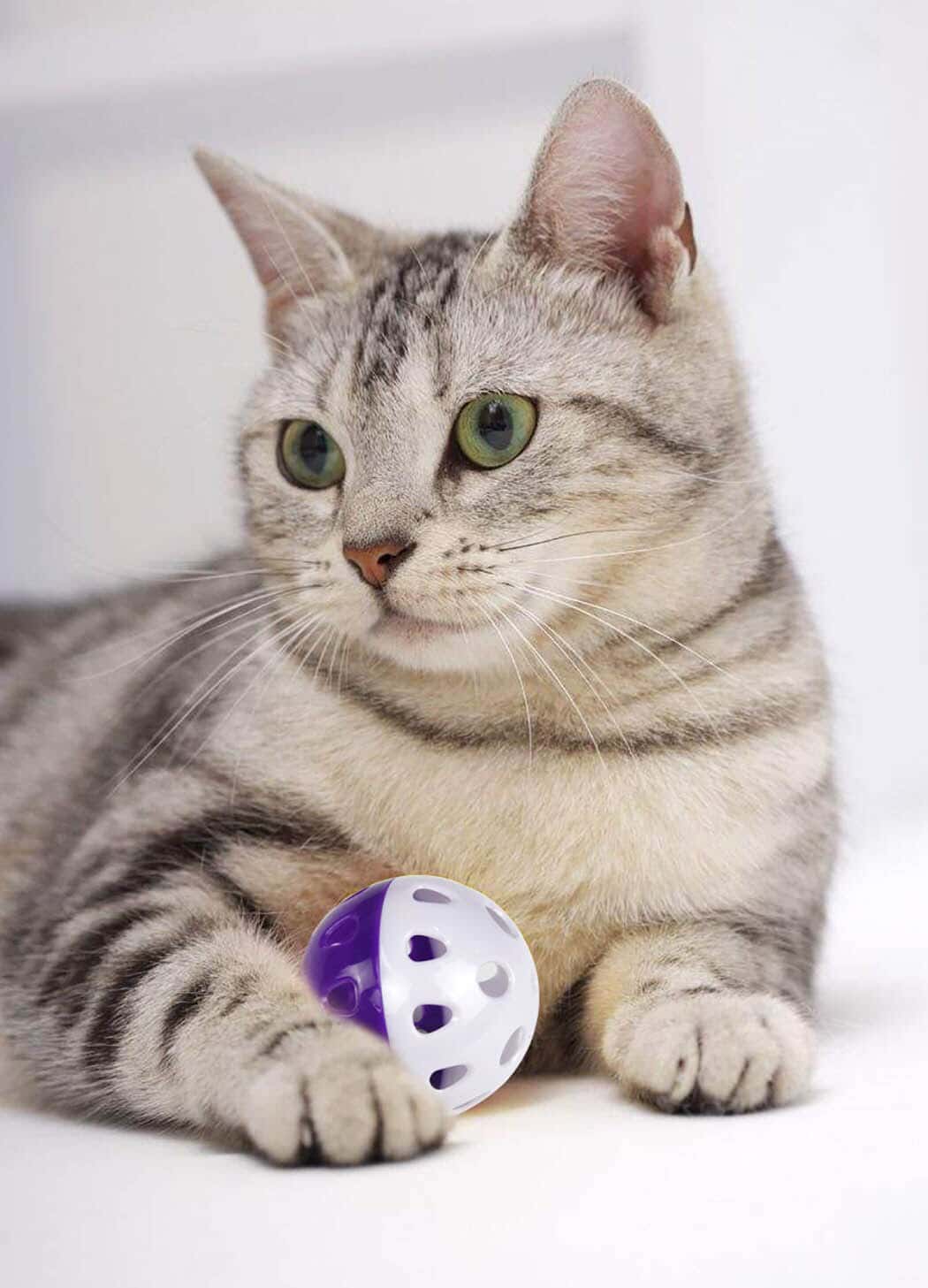 6 pièces de balle avec cloche pour chat – Image 3