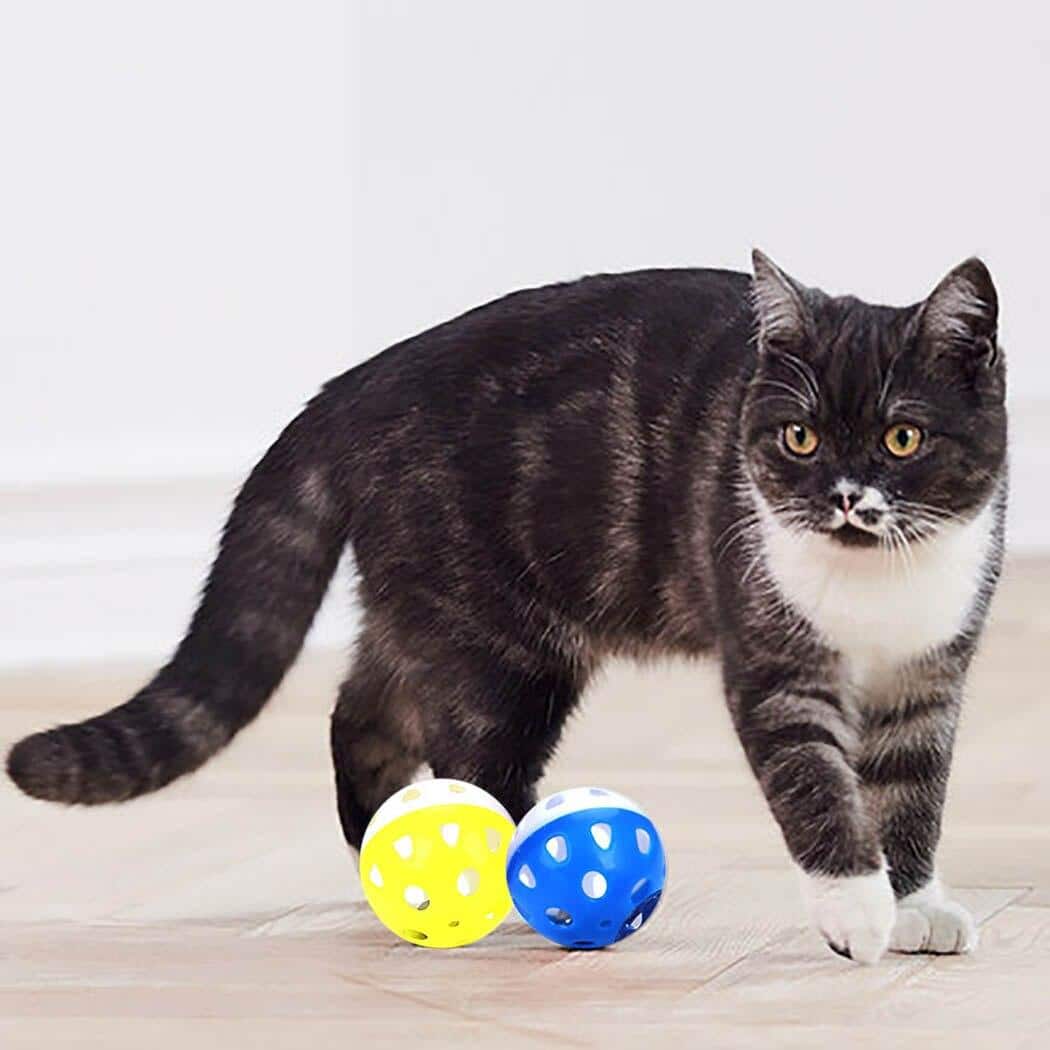 6 pièces de balle avec cloche pour chat – Image 4
