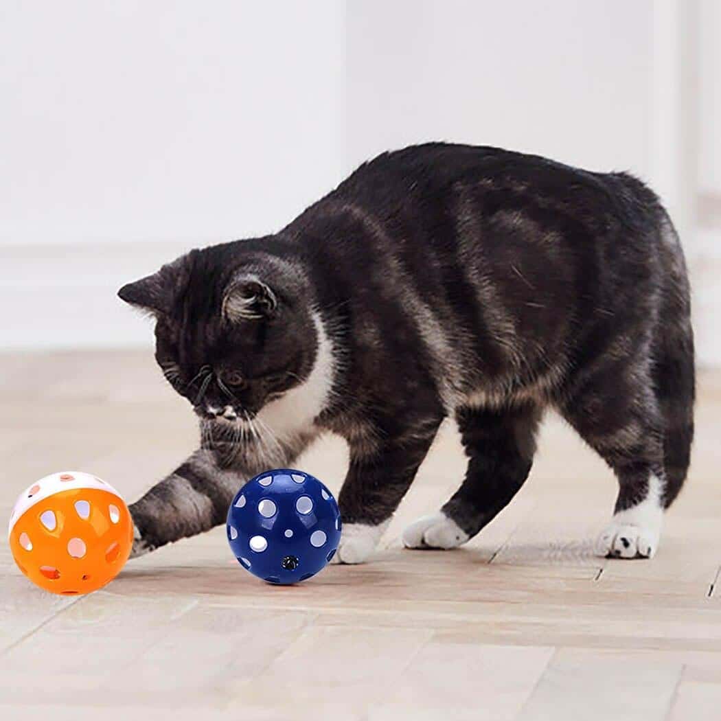 6 pièces de balle avec cloche pour chat – Image 5