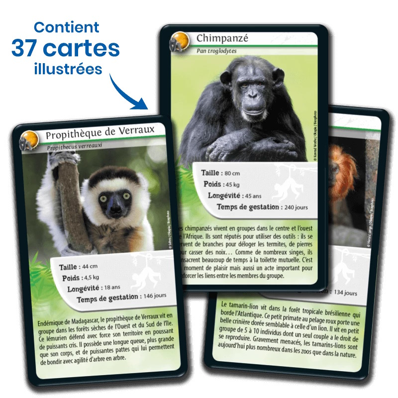 Défis Nature – Singes et autres primates – Bioviva – Image 4
