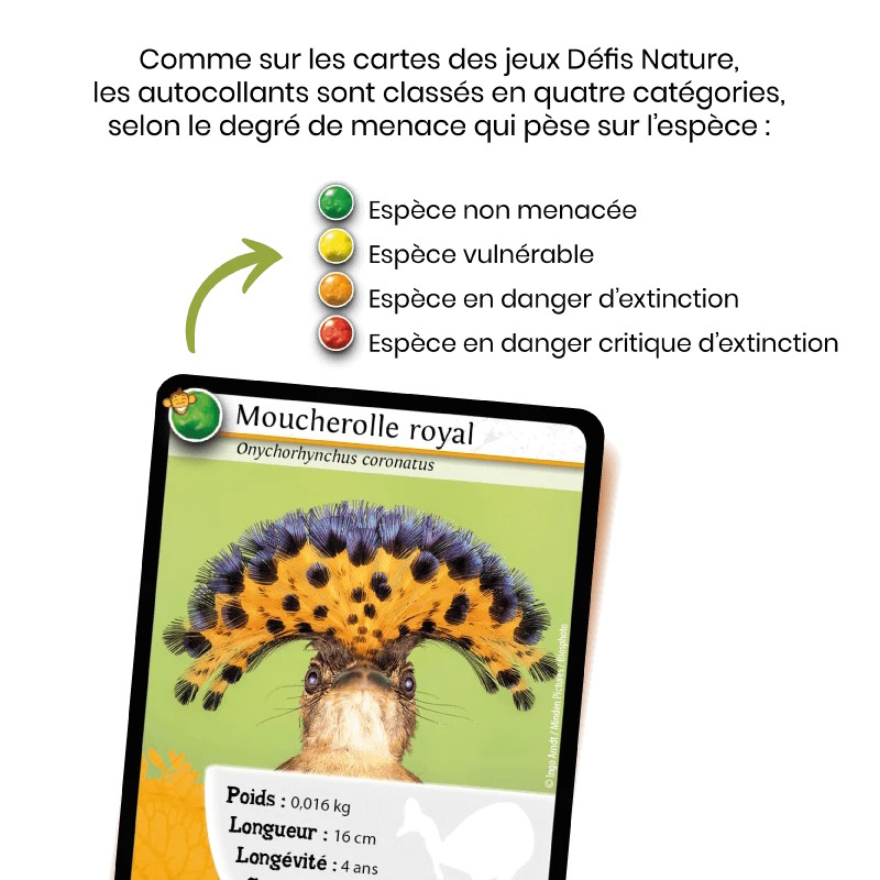 Album “Les Animaux du Monde” – Bioviva – Image 6