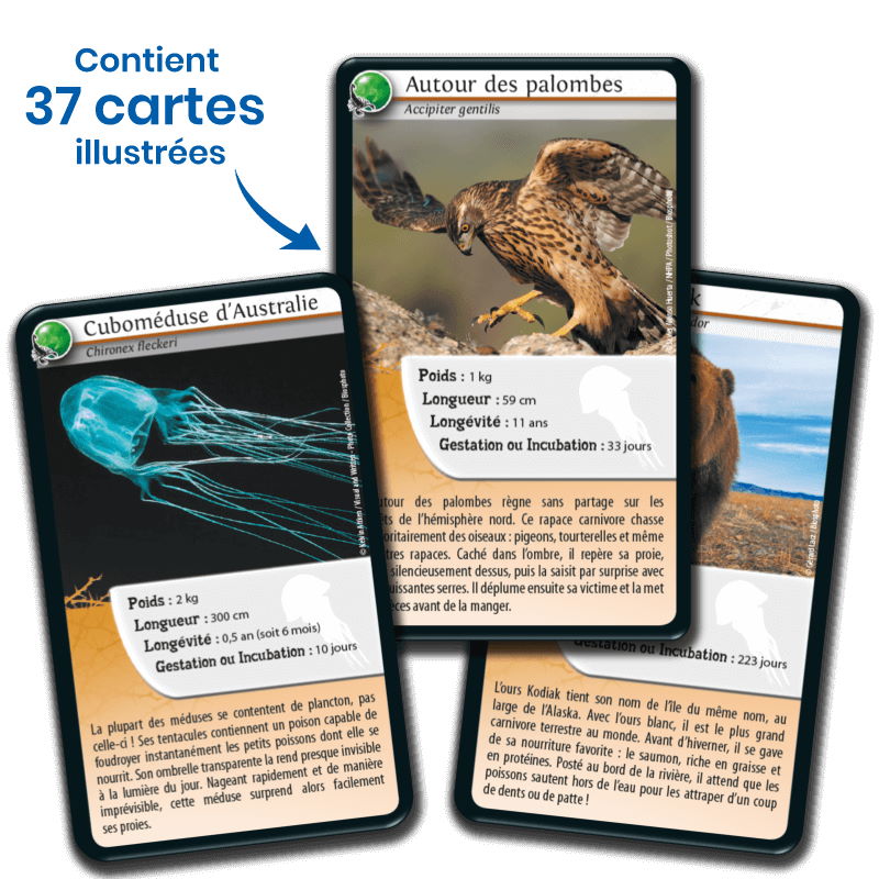 Défis Nature – Animaux Redoutables – Bioviva – Image 2
