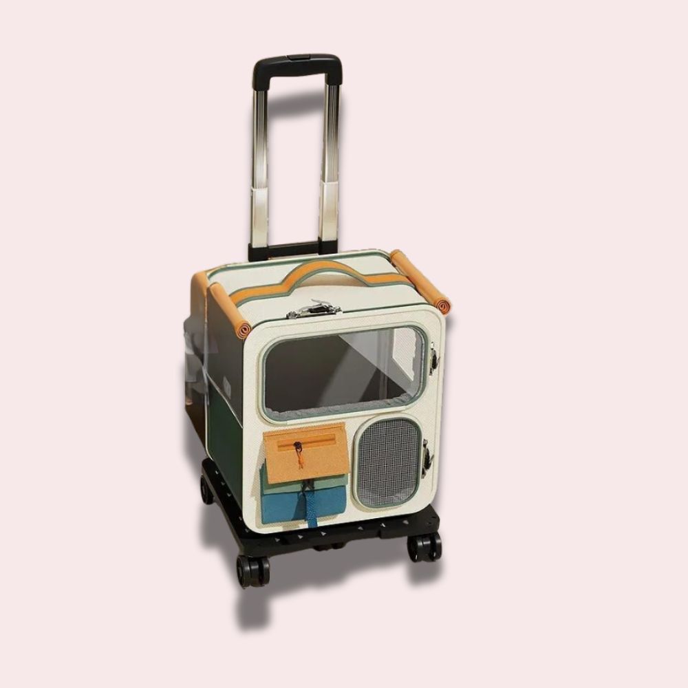 Caisse de transport pour chat 4 en 1