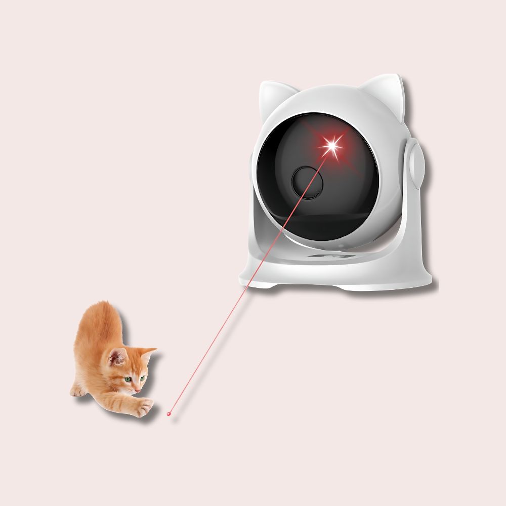 Jeu laser interactif pour chat
