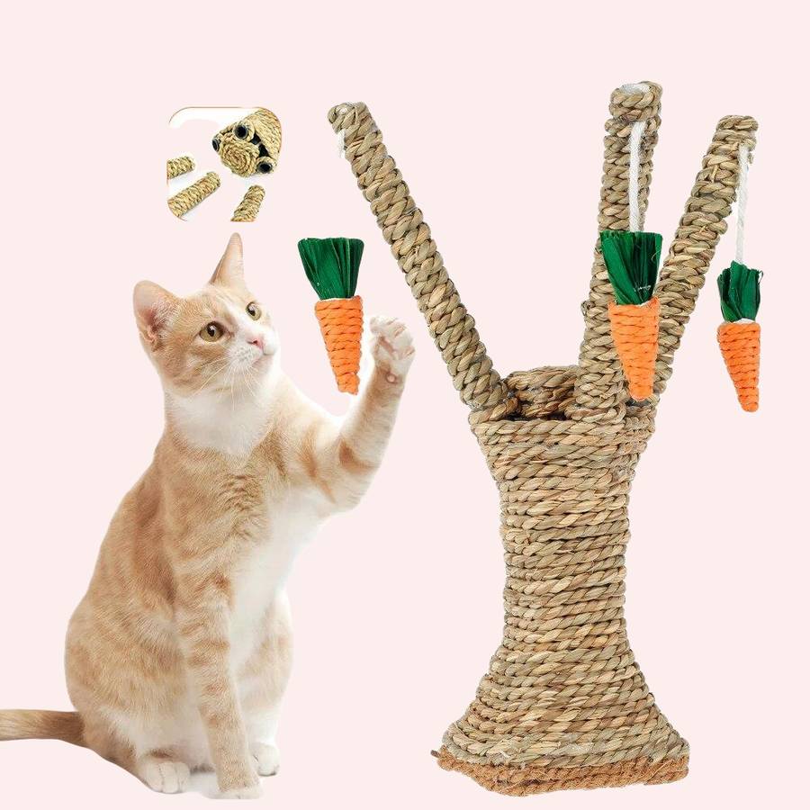Arbre à chat en sisal avec carottes suspendues