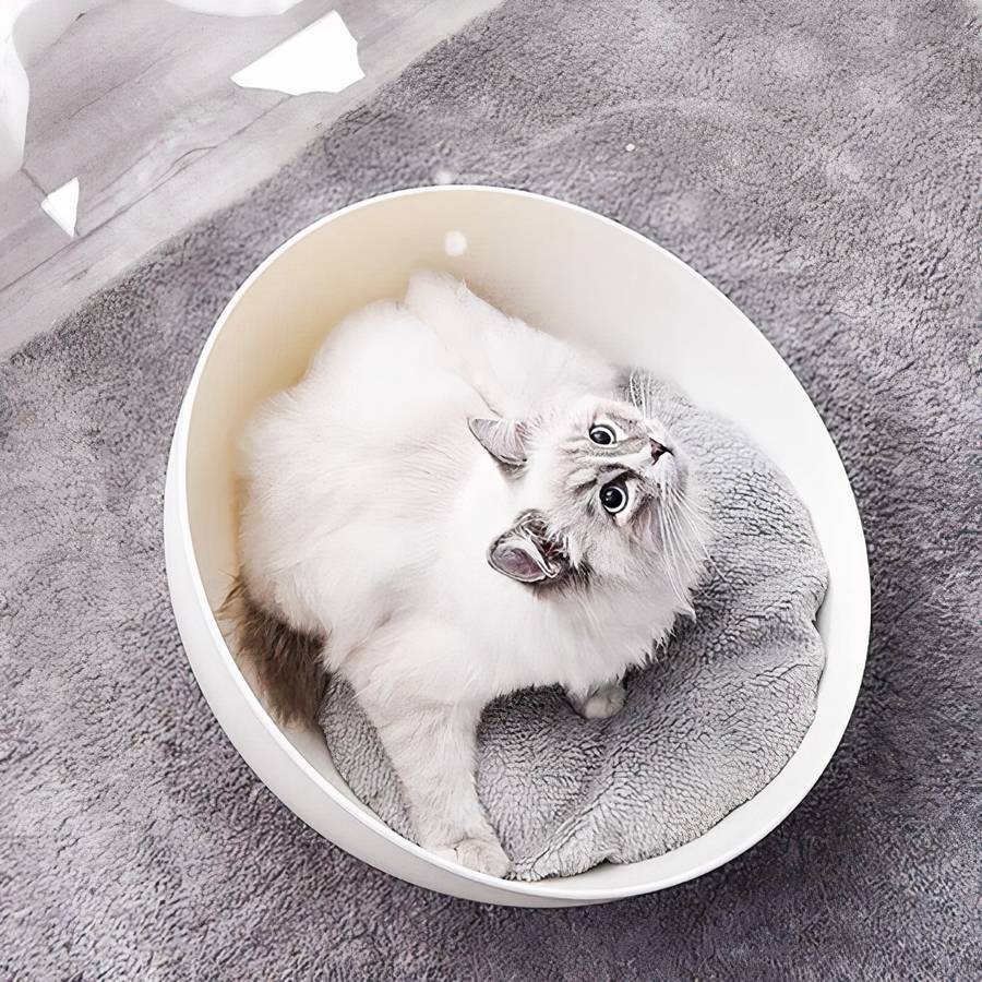 Coussin chat avec support en forme de bol incliné – Image 6