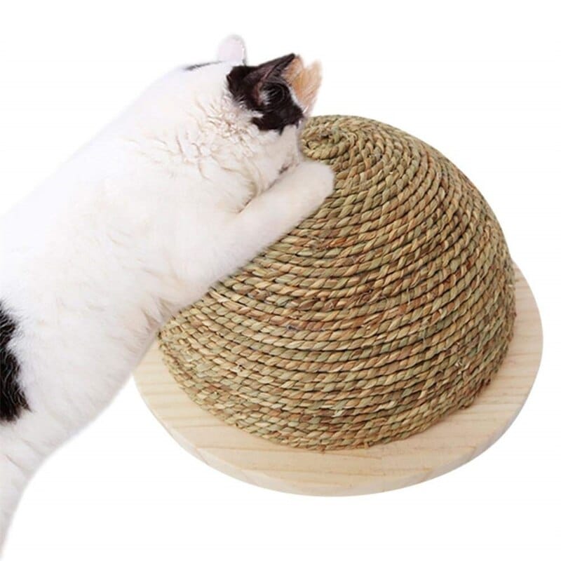 Jouet à gratter avec boule suspendue en sisal pour chat – Image 6