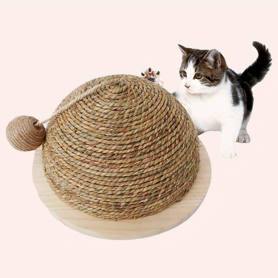Jouet à gratter avec boule suspendue en sisal pour chat – Image 4