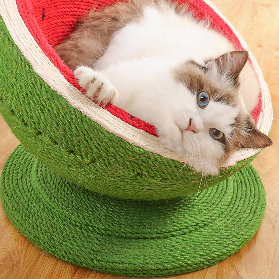Panier en forme de pastèque pour chat – Image 2
