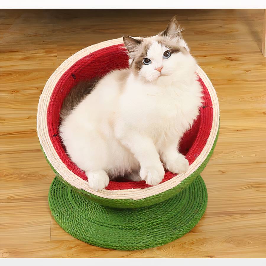 Panier en forme de pastèque pour chat – Image 3
